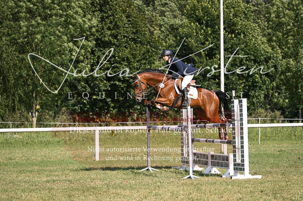 DSC_1256 | Pferde- und Turnierfotografie in Westsachsen. Pferdeportraits, Auftragszeichnungen und intuitive Kunst.