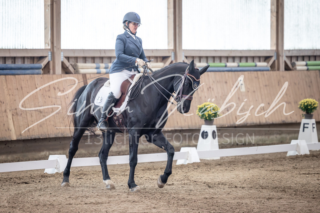 20251011-_3LI1148 | Tierfotografie Pferde, Hunde, Katzen, Haustiere.
Turnierfotografie Reitturniere, Reiten, Springreiten, Dressur in Hanau, dem Main-Kinzig-Kreis und dem Rhein-Main- Gebiet um Frankfurt