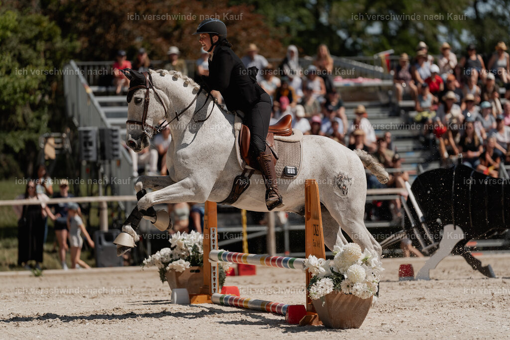 WE_SP_Stoib_312_PI2025_1655 | Pferd International München 2025