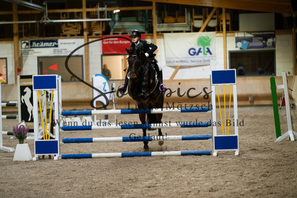 A7V03331 | Pferdefotograf