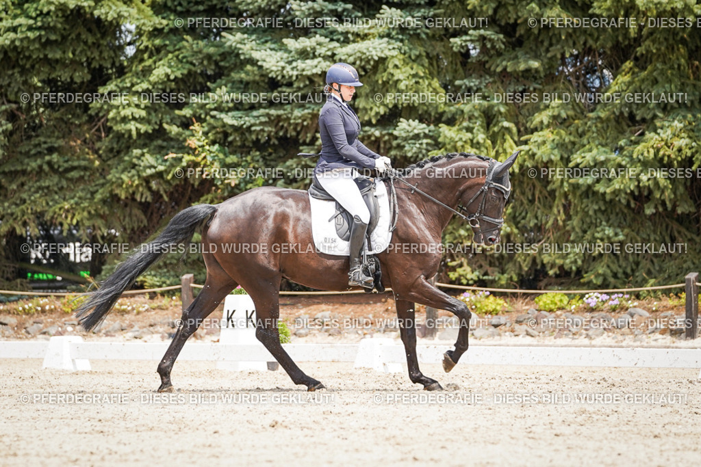 DSC03509 | Pferdegrafie