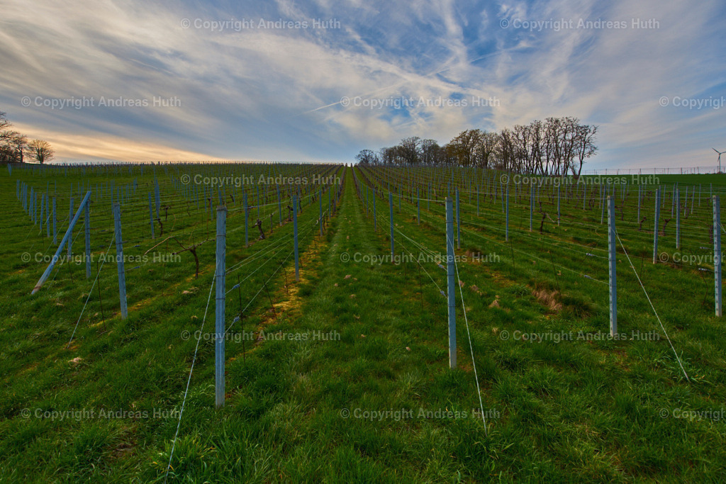 Der historische Weinhang bei Salsitz 03 | Bedeutsame Landschaften Deutschlands - Realisiert mit Pictrs.com