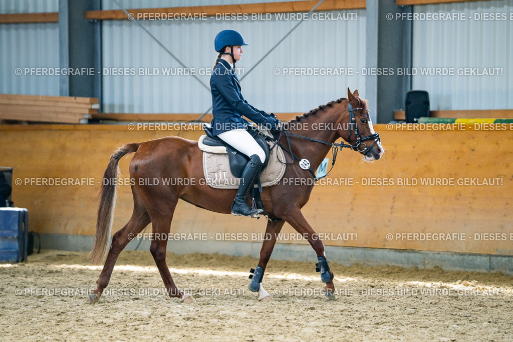 DSC01982 | Pferdegrafie