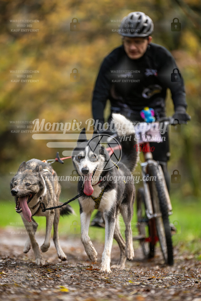MompixPhotography_Bischwiller23_DS2-17 | PayLife