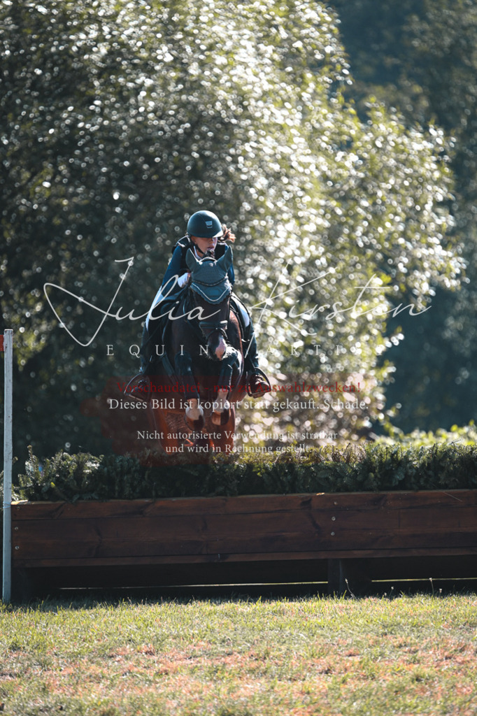 DSC_7946 | Pferde- und Turnierfotografie in Westsachsen. Pferdeportraits, Auftragszeichnungen und intuitive Kunst.