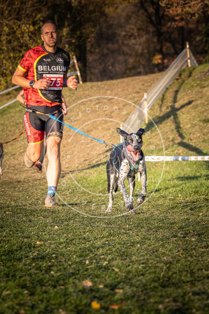 CaniXpix_0L8A1118 | Hundefotografie, Tierfotograf, Pfotenfotografie, Fotoshooting Hund, Hunde Portrait, Hundesport, Hundeportraits, Heideshooting, Hunde, Sportfotograf, Hundefotograf, Turnierhundsport, THS,  - Realisiert mit Pictrs.com