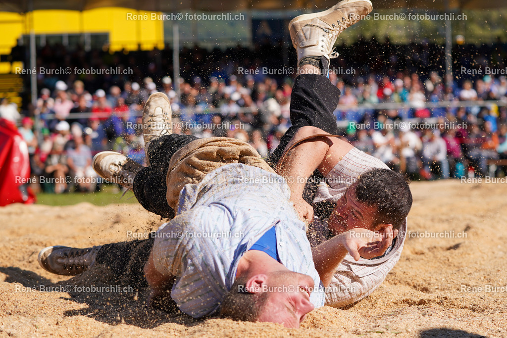 DSC09328 | René Burch leidenschaftlicher Fotograf aus Kerns in Obwalden.  Hier finden sie Sport, Landschaft und Natur Fotografie.
 - Realisiert mit Pictrs.com