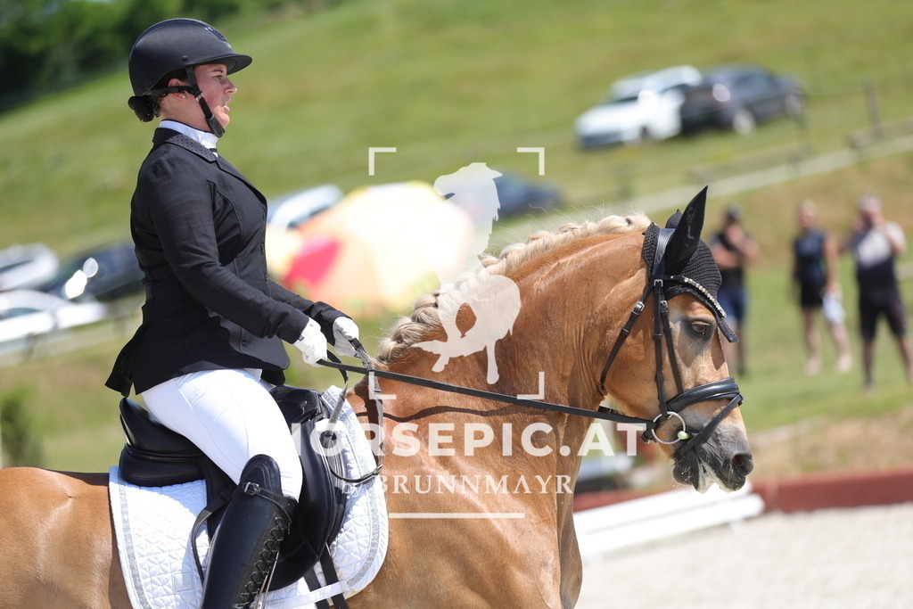 0P6A0591 | Willkommen bei Brunnmayr - Design & Fotografie – Ihrem Spezialisten für Reitturniere und Pferdeveranstaltungen in Oberösterreich, Salzburg und Bayern! Seit über 17 Jahren sind wir leidenschaftlich dabei.