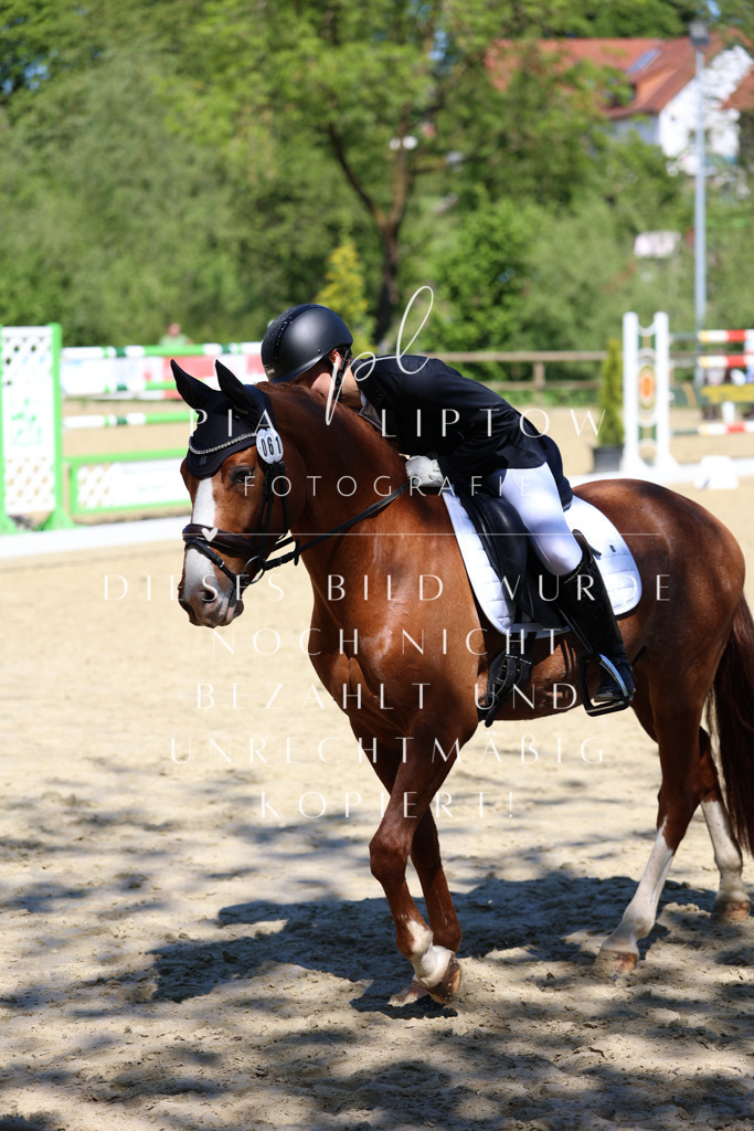 IMGS1450 | pl-fotografie