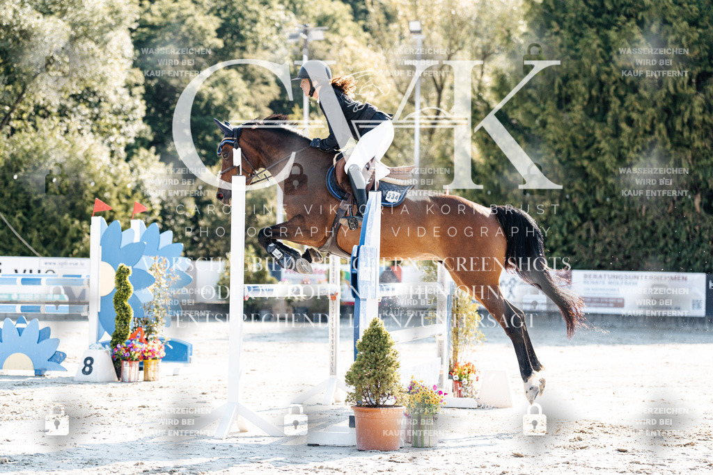 CK901816 | Turnierfotografie Pferdefotografie Trier Rheinland-Pfalz Pferdesport Reitsport Tierfotografie Sportfotografie Pferdevideo Pferdevideografie Equestrianvideography equestrianphotography  - Realisiert mit Pictrs.com