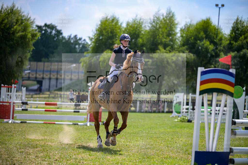 Reitturnier Voxtrup | Entdecke hochwertige Reitturnierfotos von Foto Oger. Professionell, emotional und authentisch – jetzt Lieblingsmomente im Shop bestellen. - Realisiert mit Pictrs.com