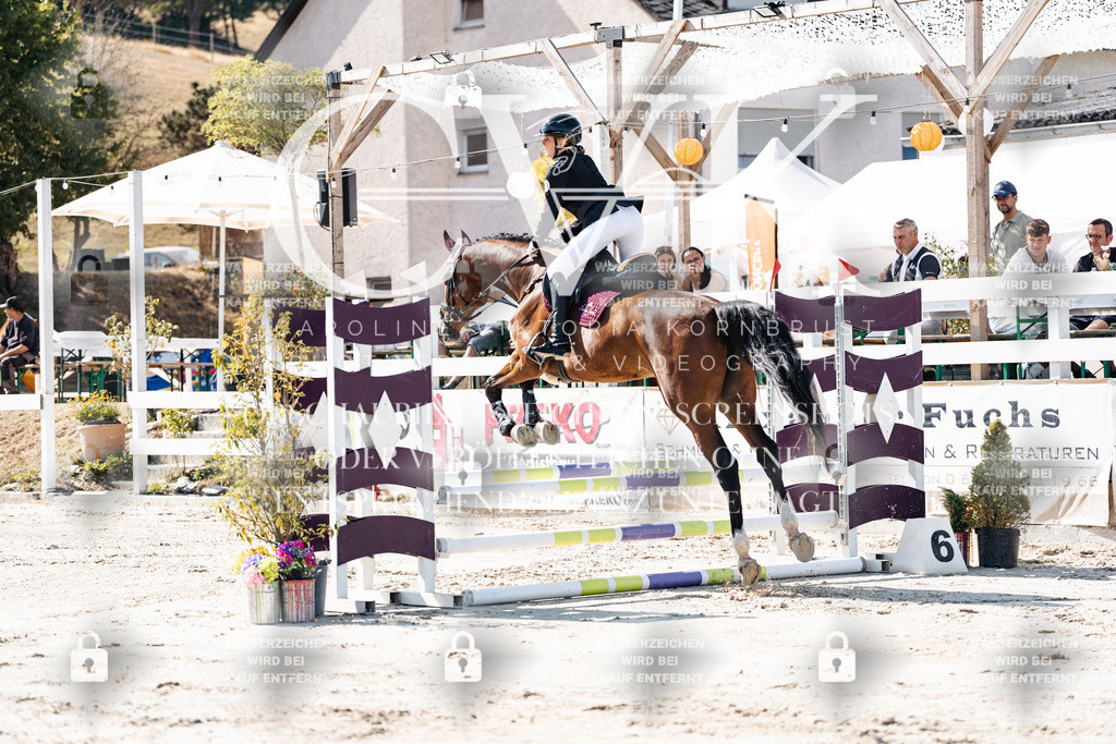 CK905058 | Turnierfotografie Pferdefotografie Trier Rheinland-Pfalz Pferdesport Reitsport Tierfotografie Sportfotografie Pferdevideo Pferdevideografie Equestrianvideography equestrianphotography  - Realisiert mit Pictrs.com