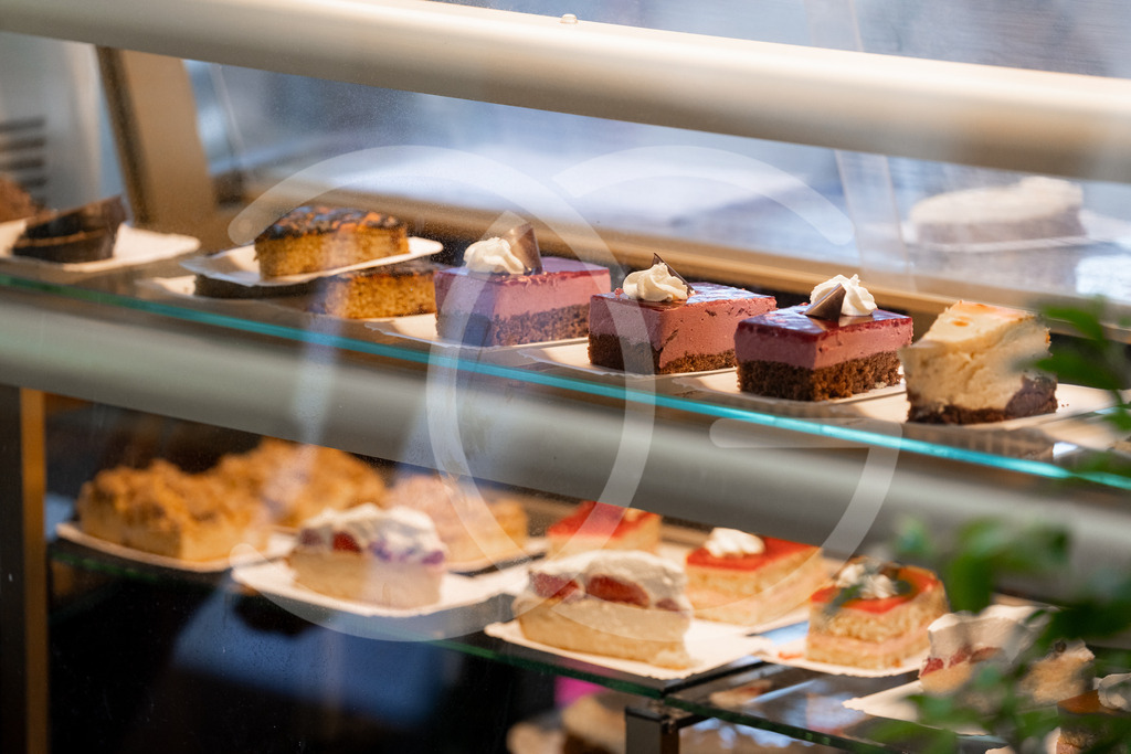 DSC09952 | Carolin Gieschke