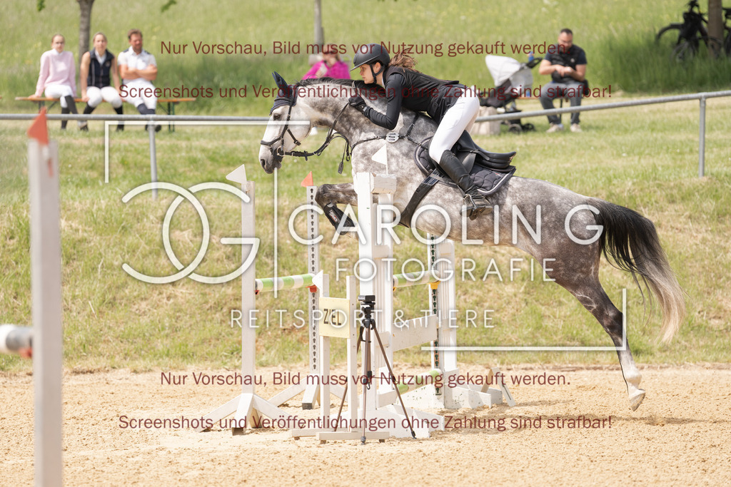 DSC06630 | Springturnier_Ehingen_Mai_2026, Anika_Ramminger, Hakuna_Matata_32