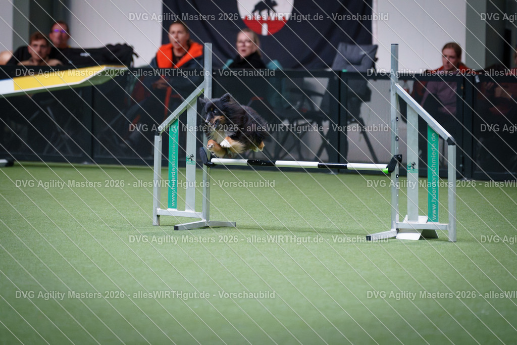 allesWIRTHgut_Tierfotografie-DVG_Agility_Masters_2026-15_04-7R506059 | Professionelle Tierfotografie in Mönchengladbach von Daniel Wirth (allesWIRTHgut). Liebevolle & natürliche Bilder von Hunden & Katzen für unvergessliche Erinnerungen.