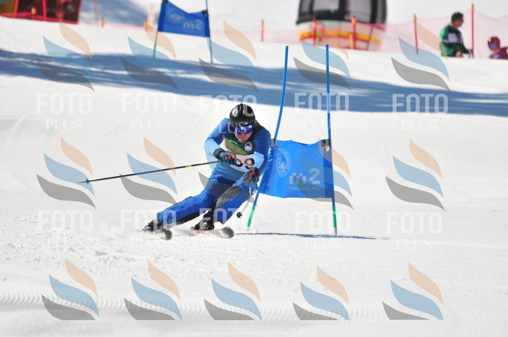 C4363 | holidayphoto