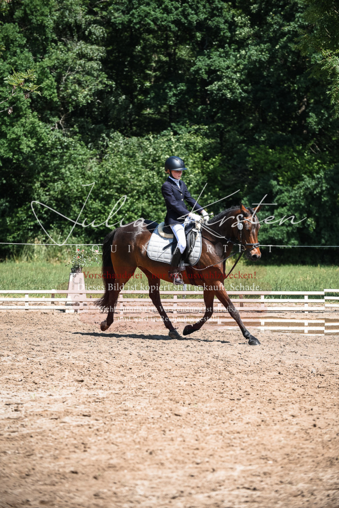 DSC_3324 | Pferde- und Turnierfotografie in Westsachsen. Pferdeportraits, Auftragszeichnungen und intuitive Kunst.