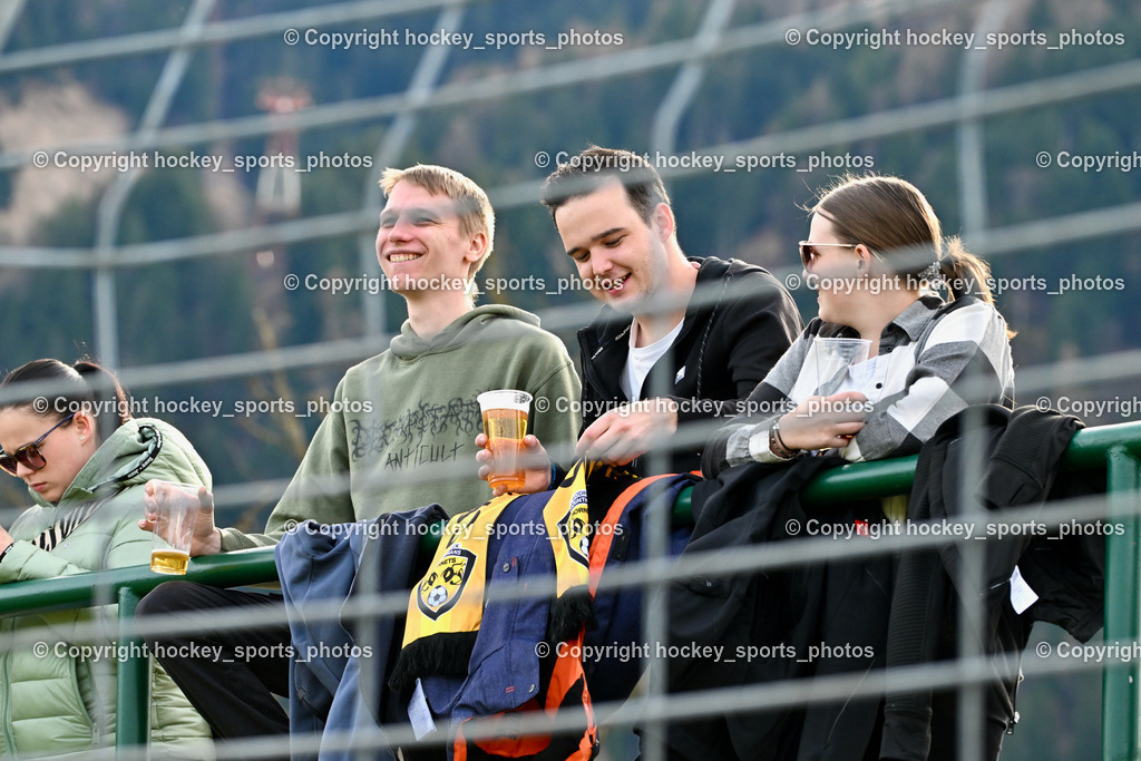 Carinthians LIWOdruck Hornets vs. Young Violets Austria Wien 17.3.2024 | Besucher Goldeck Stadion, Carinthians Hornets Fans, Carinthians LIWOdruck Hornets vs. Young Violets Austria Wien 17.3.2024, Carinthians LIWOdruck Hornets vs. Young Violets Austria Wien  am 17.03.2024 in Spittal an der Drau (Goldeck Stadion), Austria, (Photo by Bernd Stefan)