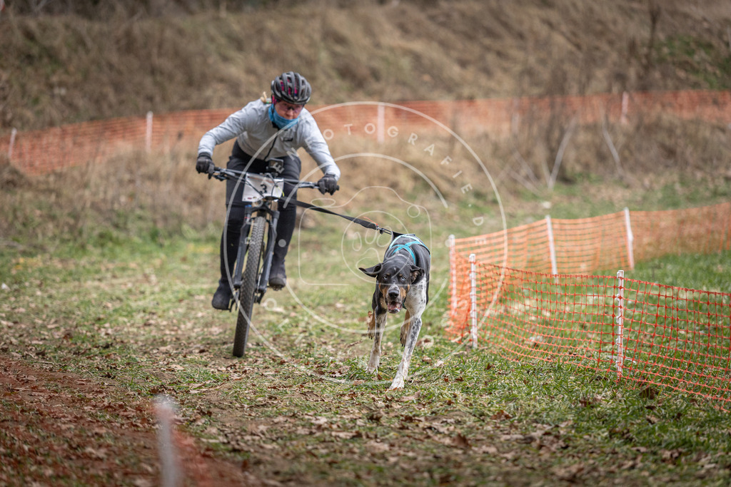 Pfotenfotografie_DV3A6215 | Hundefotografie, Tierfotograf, Pfotenfotografie, Fotoshooting Hund, Hunde Portrait, Hundesport, Hundeportraits, Heideshooting, Hunde, Sportfotograf, Hundefotograf, Turnierhundsport, THS,  - Realisiert mit Pictrs.com