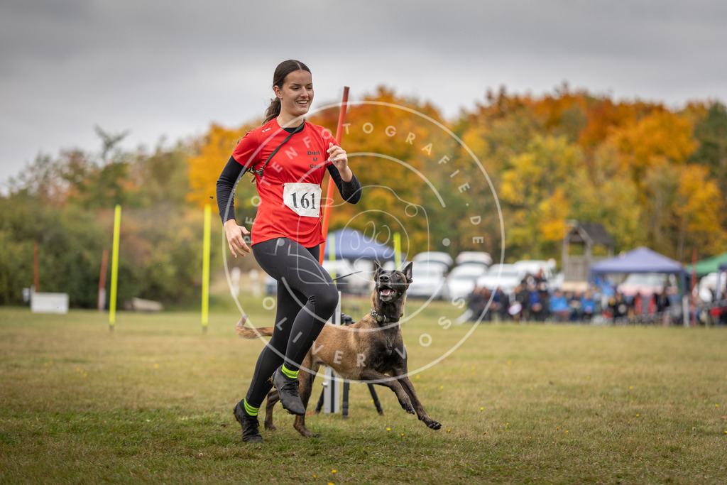 Pfotenfotografie_DV3A5223 | Hundefotografie, Tierfotograf, Pfotenfotografie, Fotoshooting Hund, Hunde Portrait, Hundesport, Hundeportraits, Heideshooting, Hunde, Sportfotograf, Hundefotograf, Turnierhundsport, THS,  - Realisiert mit Pictrs.com