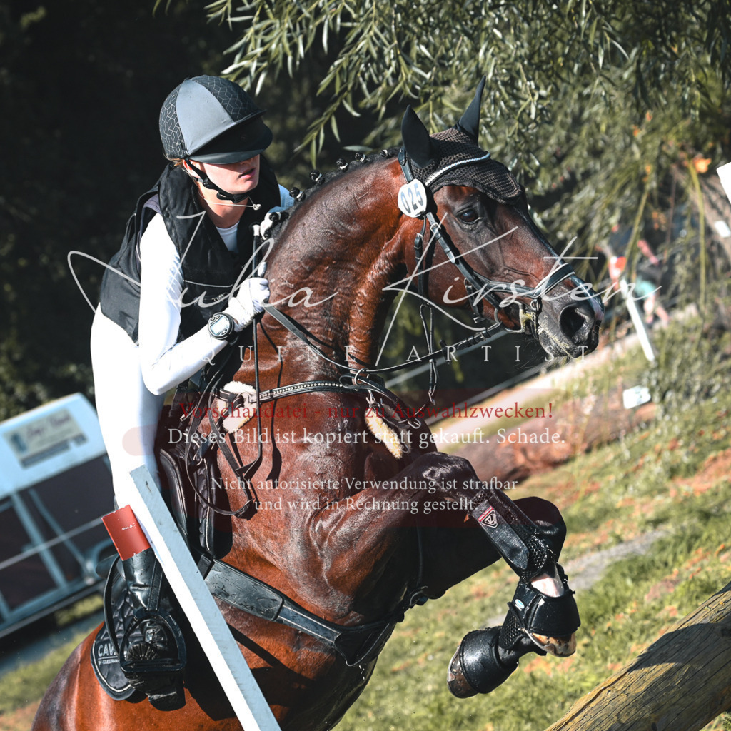 DSC_8800 | Pferde- und Turnierfotografie in Westsachsen. Pferdeportraits, Auftragszeichnungen und intuitive Kunst.