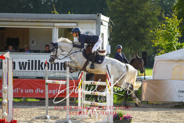 DKP44028 | Turniersportfotografie; Pferdefotografie; Dressurfotografie