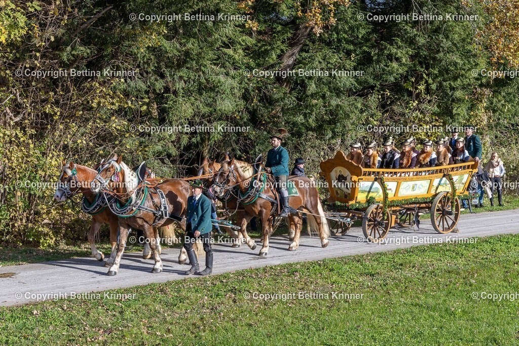 LBT24-515 | foto-bettina-krinner - Realisiert mit Pictrs.com