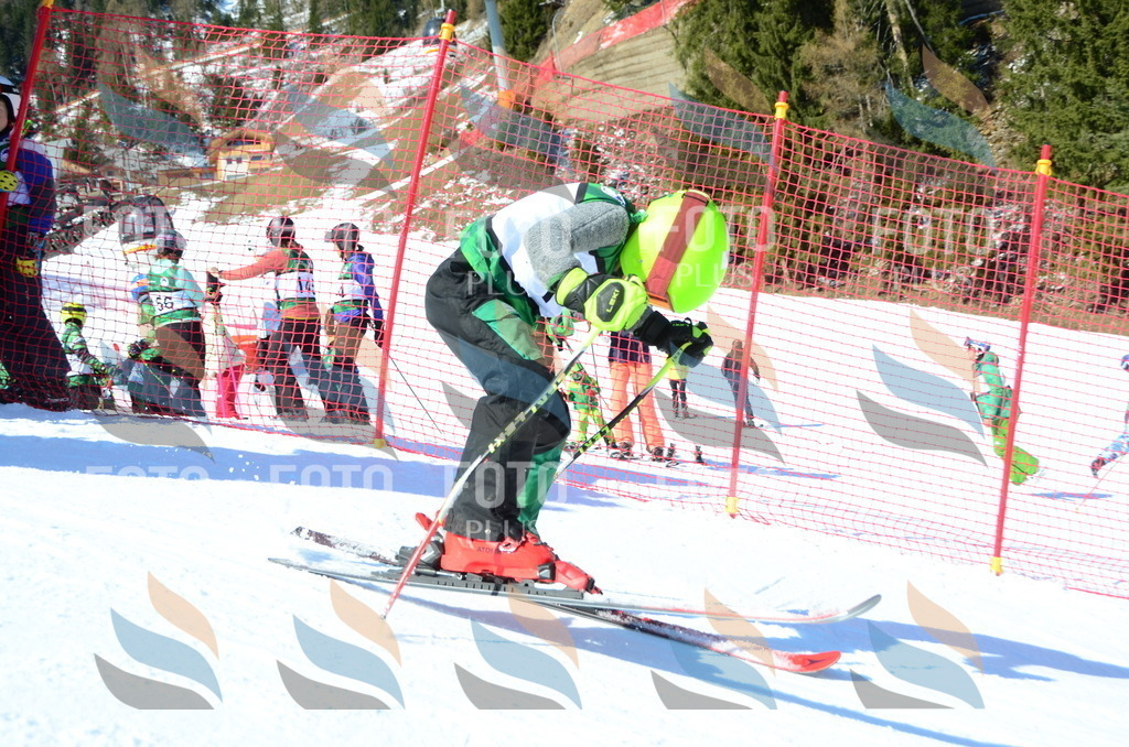 C5569 | holidayphoto