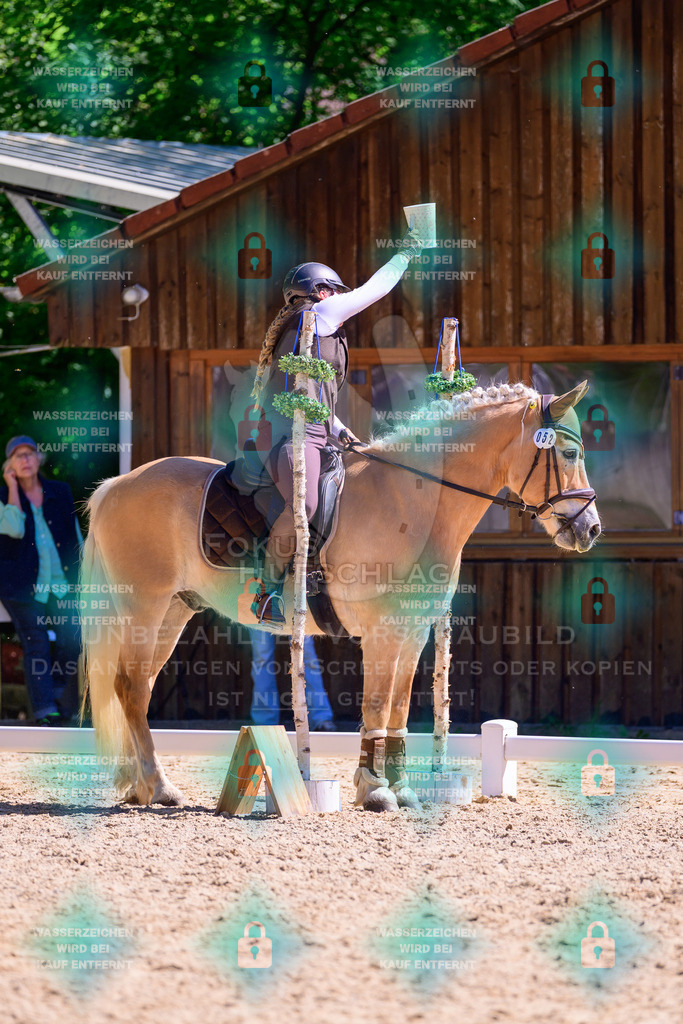 01052026-Giesenbach-02-Stiltrail-0526 | Fokus Hufschlag Fotografie - Realisiert mit Pictrs.com