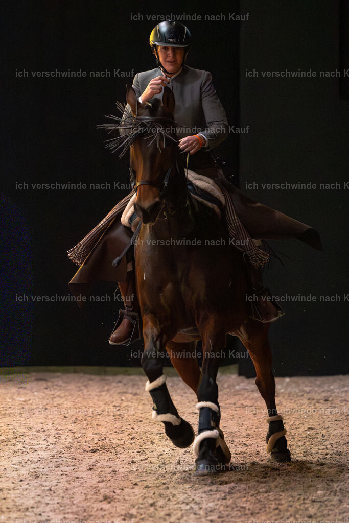 JoseraCup-180 | working equitationturnier fotograf videograf stoibphotography marixx film working equitation deutschland reitsport turnierfotografie eventfotografie equestrian events