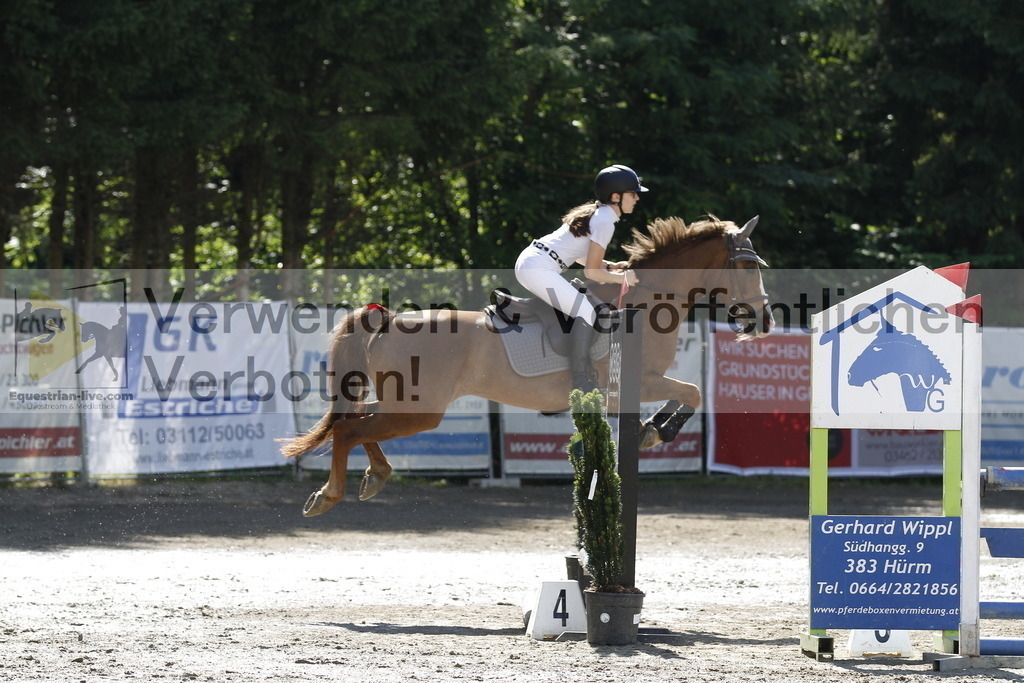 _MG_1406 | equestrian-live-com