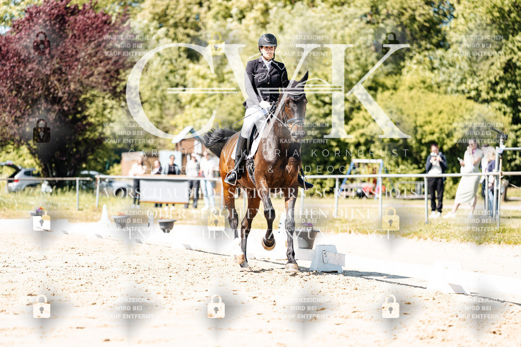 CK905464 | Turnierfotografie Pferdefotografie Trier Rheinland-Pfalz Pferdesport Reitsport Tierfotografie Sportfotografie Pferdevideo Pferdevideografie Equestrianvideography equestrianphotography  - Realisiert mit Pictrs.com