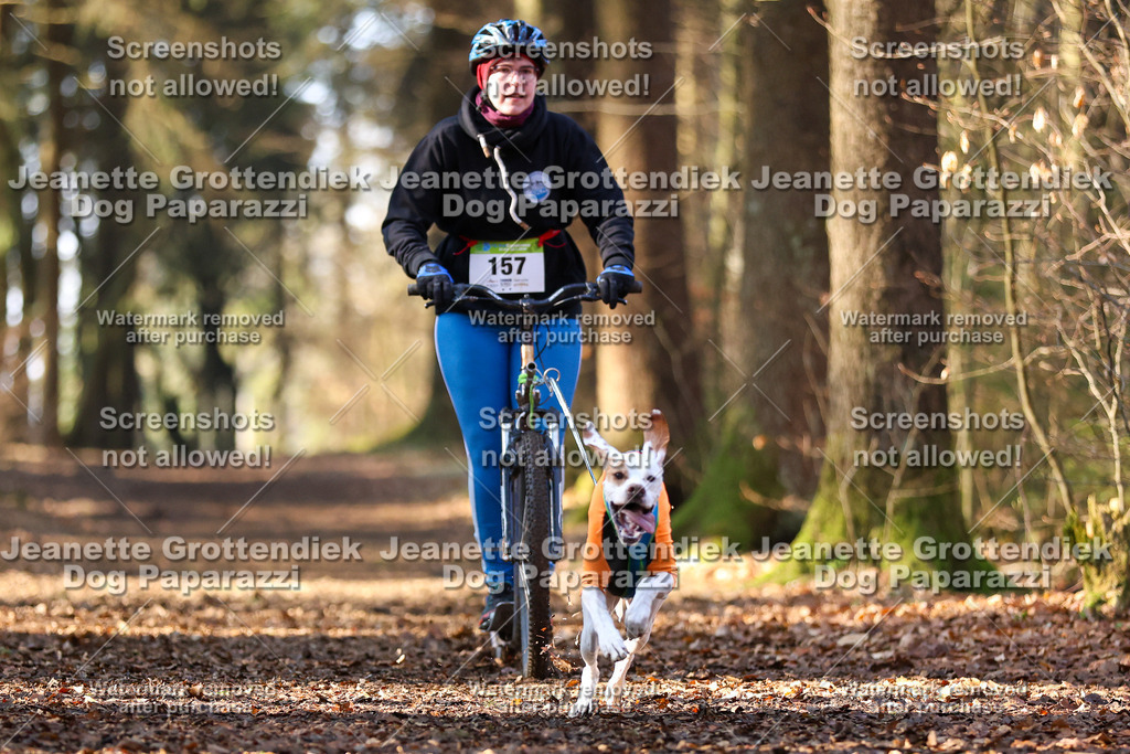 Dog Paparazzi - VCC26-902 | Dog Paparazzi Jeanette Grottendiek Fotografie & Videografie - Realisiert mit Pictrs.com