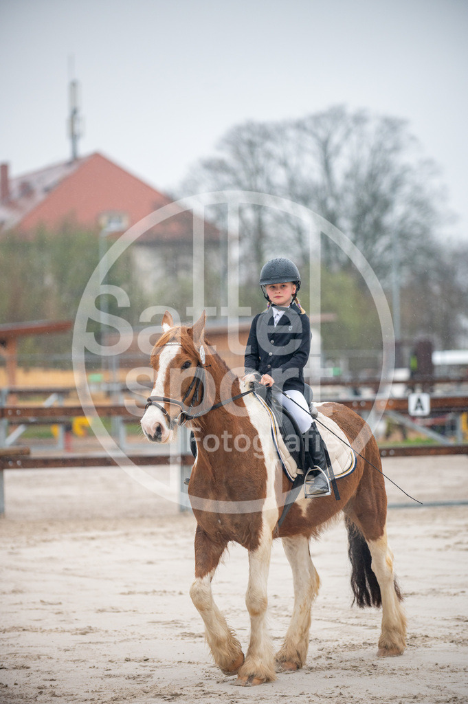 DSC_2660 | sattelsport - Realisiert mit Pictrs.com