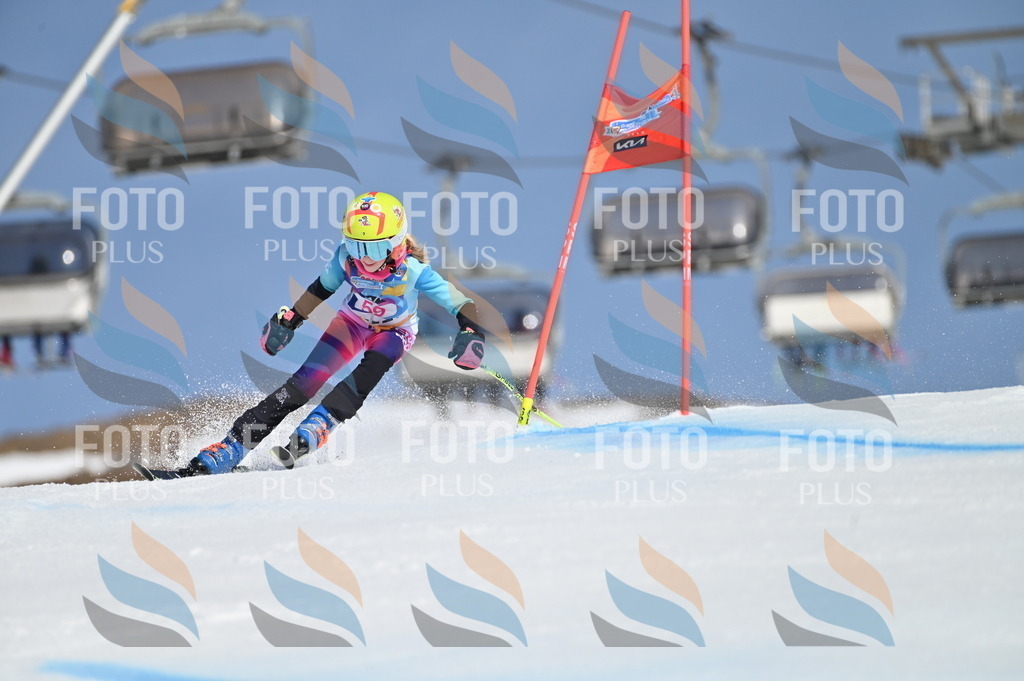 BGV_8697 | holidayphoto