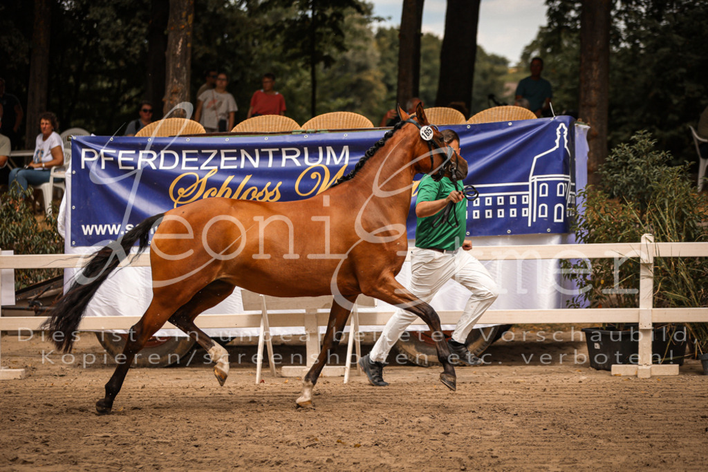 10.So00110 | Leoni Ertmer Photography - Realisiert mit Pictrs.com