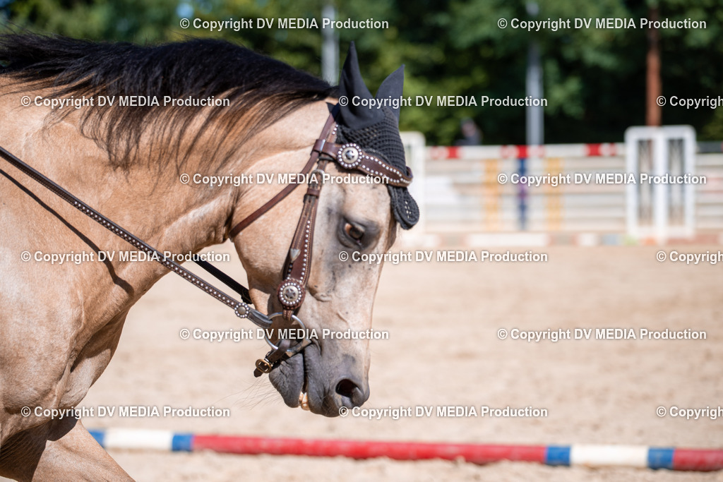 ZS1_0887 | dv-media-shop - Realisiert mit Pictrs.com