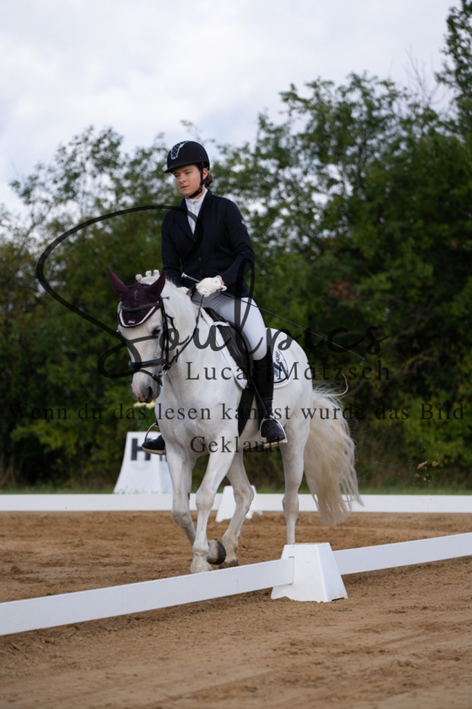 A7V05162 | Pferdefotograf