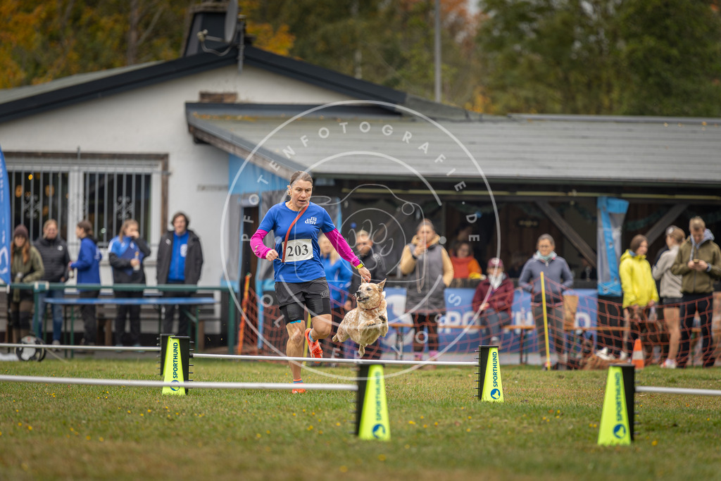 Pfotenfotografie_DV3A1643 | Hundefotografie, Tierfotograf, Pfotenfotografie, Fotoshooting Hund, Hunde Portrait, Hundesport, Hundeportraits, Heideshooting, Hunde, Sportfotograf, Hundefotograf, Turnierhundsport, THS,  - Realisiert mit Pictrs.com