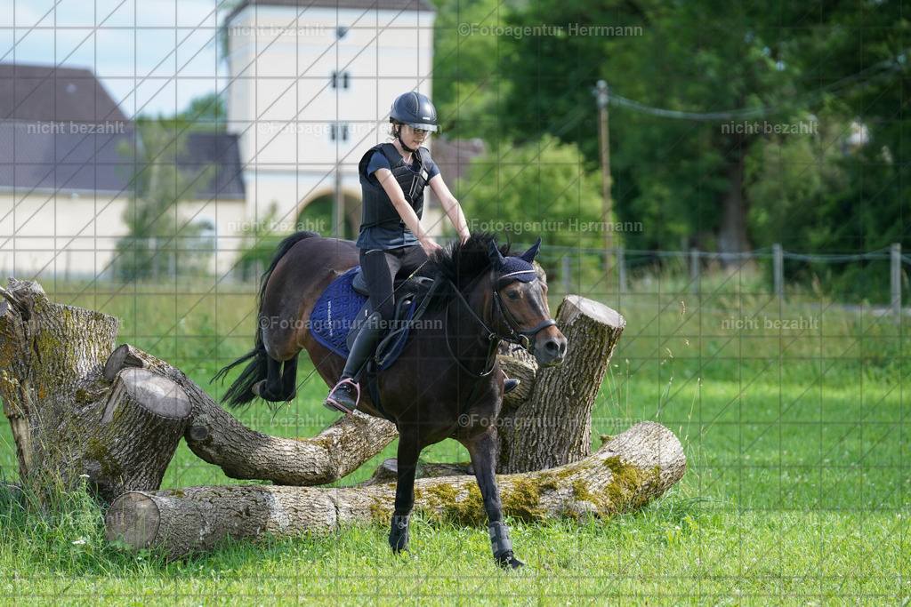 20240622-FAH08089 | Turnierfotografen Bayern, Reitsportbilder aus dem Geländekurs mit Felix Etzel auf dem Gut Waitzacker 2024