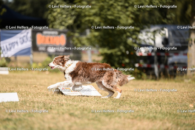 _DSC6133 | levihelfersfotografie