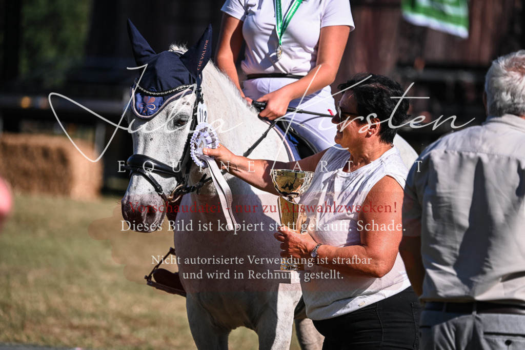 DSC_7106 | Pferde- und Turnierfotografie in Westsachsen. Pferdeportraits, Auftragszeichnungen und intuitive Kunst.