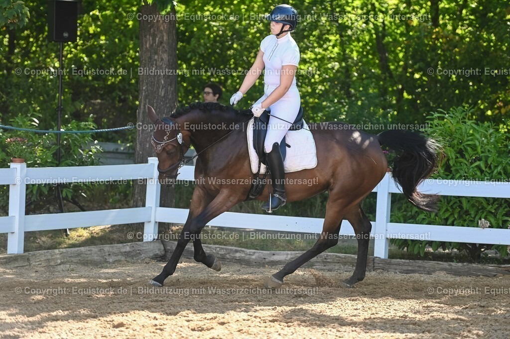20230715_06_Dressurpferdeprfg. Kl.A_0289 | equistock