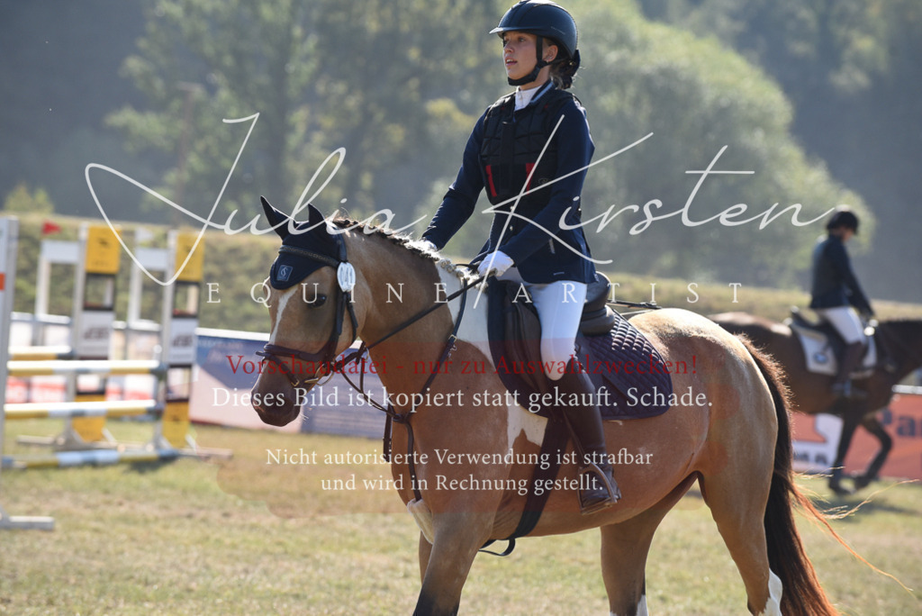 DSC_5975 | Pferde- und Turnierfotografie in Westsachsen. Pferdeportraits, Auftragszeichnungen und intuitive Kunst.