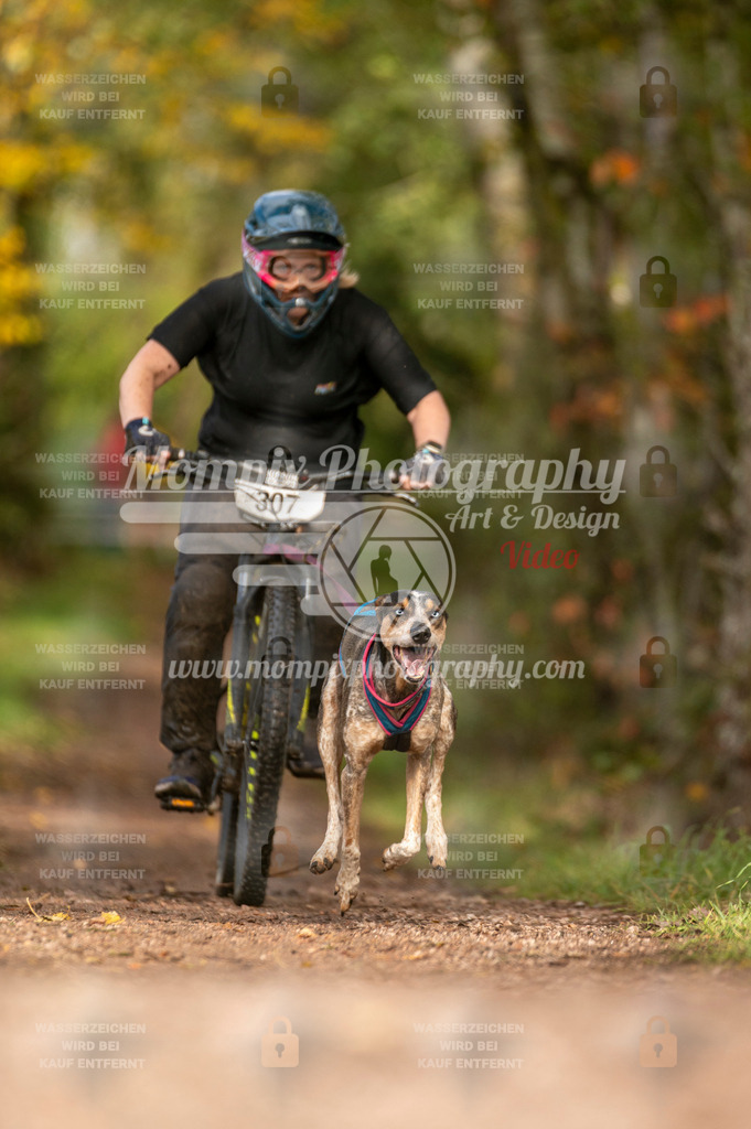 TSB_2023_E4_Bike-64 | PayLife