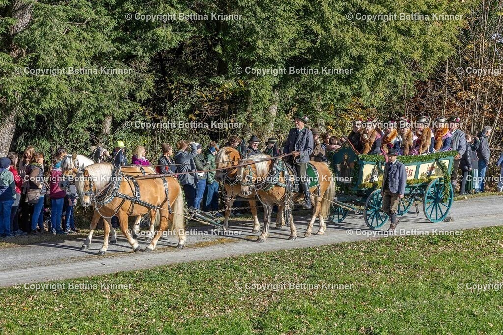 LBT25-570 | foto-bettina-krinner - Realisiert mit Pictrs.com