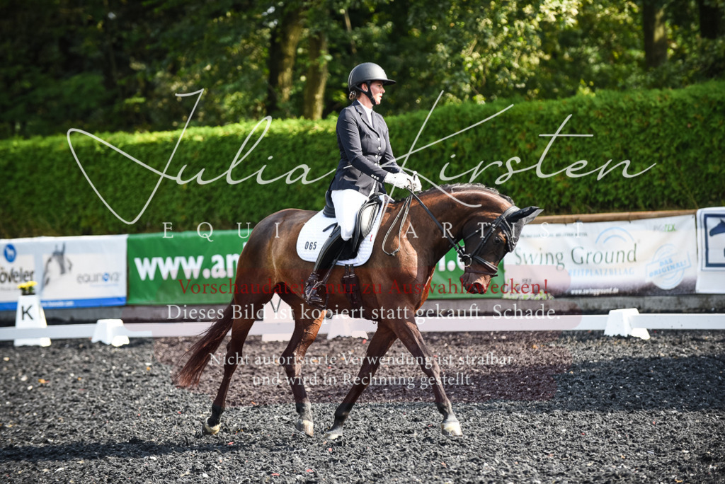 DSC_3105 | Pferde- und Turnierfotografie in Westsachsen. Pferdeportraits, Auftragszeichnungen und intuitive Kunst.