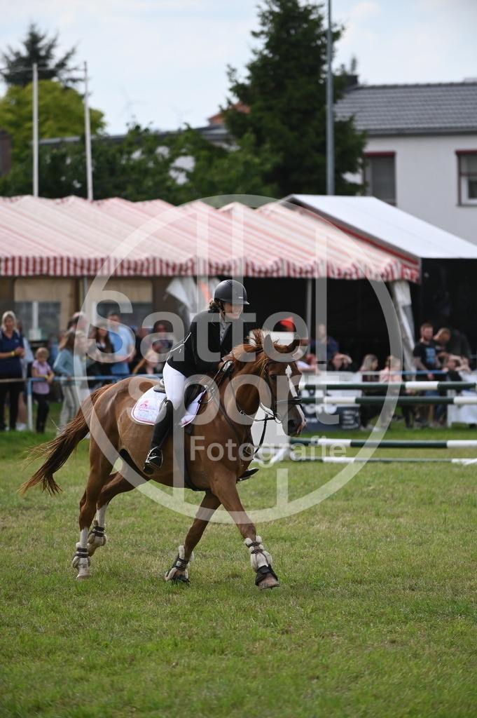 DSC_3167 | sattelsport - Realisiert mit Pictrs.com