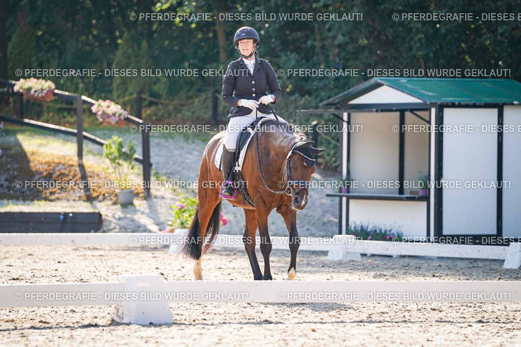 DSC09134 | Pferdegrafie