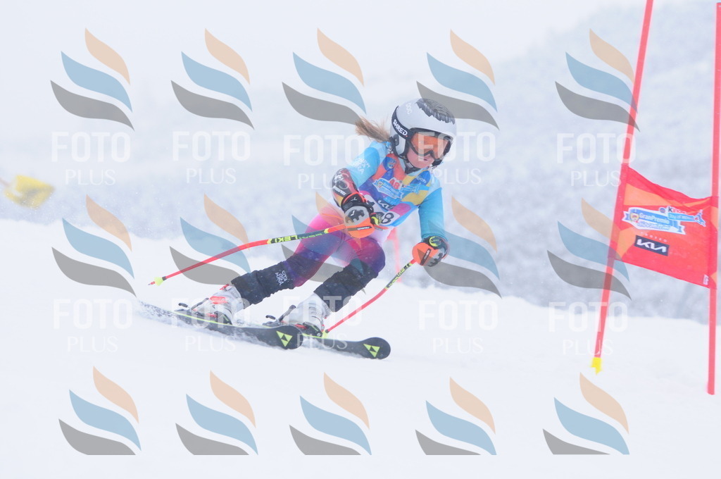 C1784 | holidayphoto